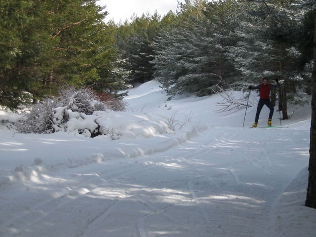  Traversée en forêt 